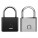 FINGERPRINT PADLOCK
